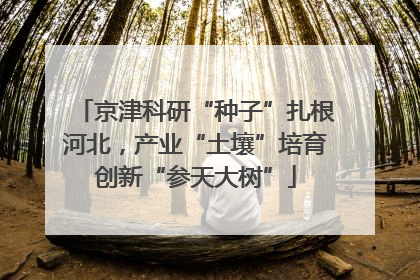 京津科研“种子”扎根河北，产业“土壤”培育创新“参天大树”