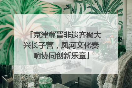 京津冀晋非遗齐聚大兴长子营，凤河文化奏响协同创新乐章