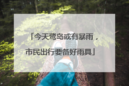 今天鹭岛或有暴雨，市民出行要备好雨具
