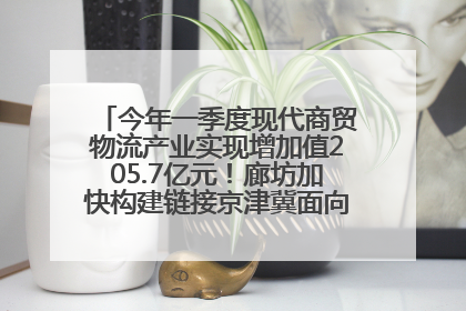 今年一季度现代商贸物流产业实现增加值205.7亿元！廊坊加快构建链接京津冀面向全世界的物流通道