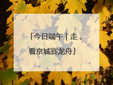 今日端午｜走，看京城赛龙舟
