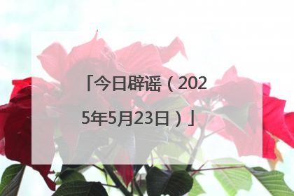 今日辟谣（2025年5月23日）