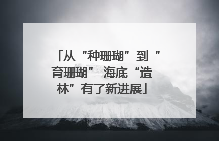 从“种珊瑚”到“育珊瑚” 海底“造林”有了新进展