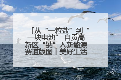 从“一粒盐”到“一块电池” 自贡高新区“钠”入新能源赛道版图丨美好生活有“盐”味