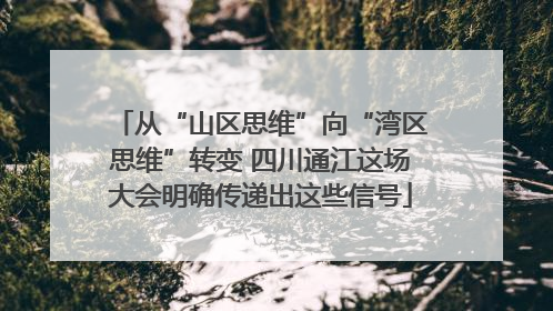 从“山区思维”向“湾区思维”转变 四川通江这场大会明确传递出这些信号