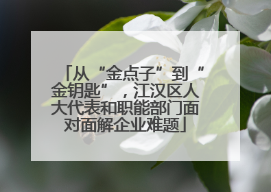 从“金点子”到“金钥匙”，江汉区人大代表和职能部门面对面解企业难题