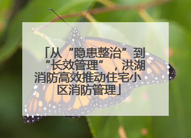 从“隐患整治”到“长效管理”，洪湖消防高效推动住宅小区消防管理