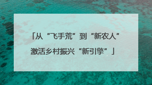 从“飞手荒”到“新农人” 激活乡村振兴“新引擎”