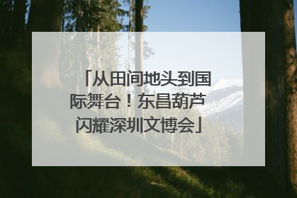 从田间地头到国际舞台！东昌葫芦闪耀深圳文博会