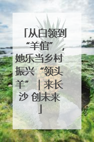 从白领到“羊倌”，她乐当乡村振兴“领头羊”｜来长沙 创未来