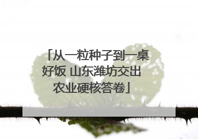 从一粒种子到一桌好饭 山东潍坊交出农业硬核答卷