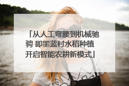 从人工弯腰到机械驰骋 即墨蓝村水稻种植开启智能农耕新模式