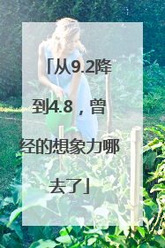 从9.2降到4.8，曾经的想象力哪去了
