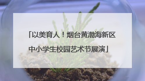 以美育人！烟台黄渤海新区中小学生校园艺术节展演
