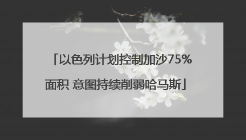 以色列计划控制加沙75%面积 意图持续削弱哈马斯