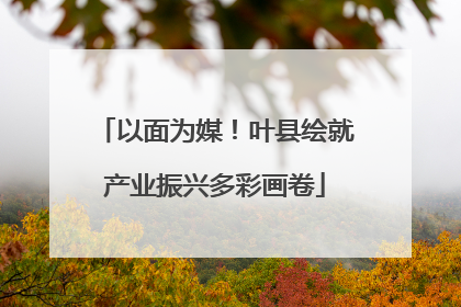 以面为媒！叶县绘就产业振兴多彩画卷