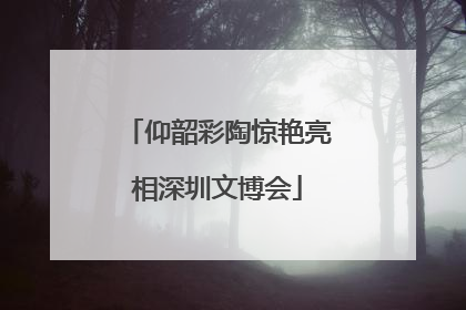 仰韶彩陶惊艳亮相深圳文博会