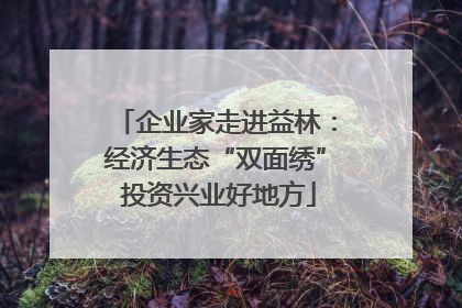 企业家走进益林：经济生态“双面绣” 投资兴业好地方