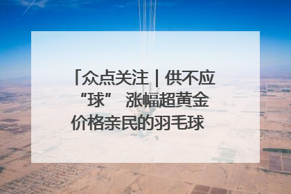 众点关注｜供不应“球” 涨幅超黄金 价格亲民的羽毛球为何身价飞涨？