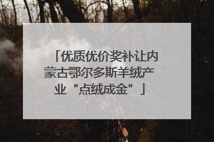 优质优价奖补让内蒙古鄂尔多斯羊绒产业“点绒成金”