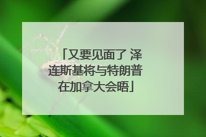 又要见面了 泽连斯基将与特朗普在加拿大会晤