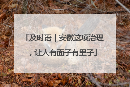 及时语｜安徽这项治理，让人有面子有里子
