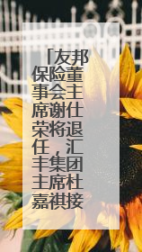 友邦保险董事会主席谢仕荣将退任，汇丰集团主席杜嘉祺接任