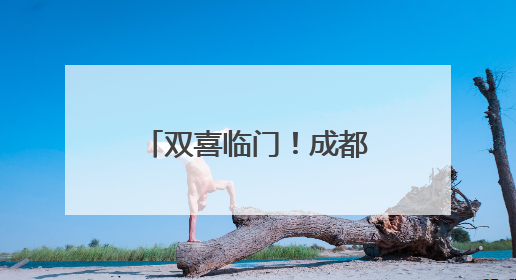 双喜临门！成都市第十三幼儿园集团“足球小将”闪耀“东郊杯”