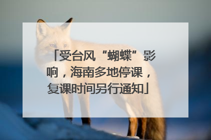 受台风“蝴蝶”影响，海南多地停课，复课时间另行通知