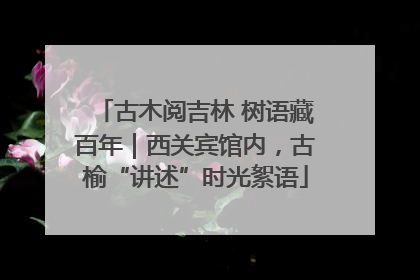 古木阅吉林 树语藏百年｜西关宾馆内，古榆“讲述”时光絮语