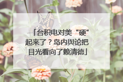 台积电对美“硬”起来了？岛内舆论把目光看向了赖清德