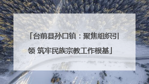 台前县孙口镇：聚焦组织引领 筑牢民族宗教工作根基