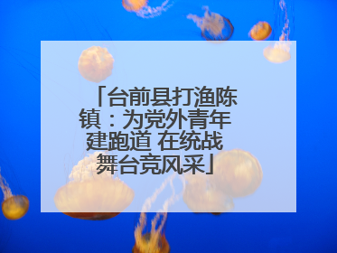 台前县打渔陈镇：为党外青年建跑道 在统战舞台竞风采