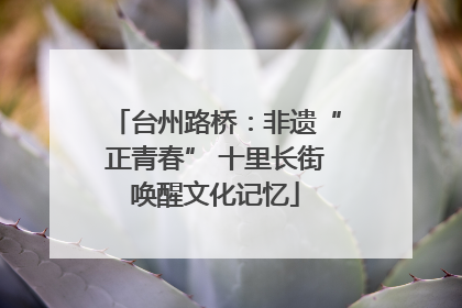 台州路桥：非遗“正青春” 十里长街唤醒文化记忆
