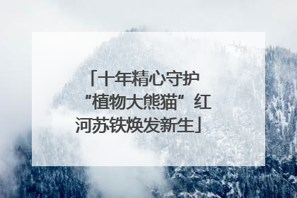 十年精心守护 “植物大熊猫”红河苏铁焕发新生