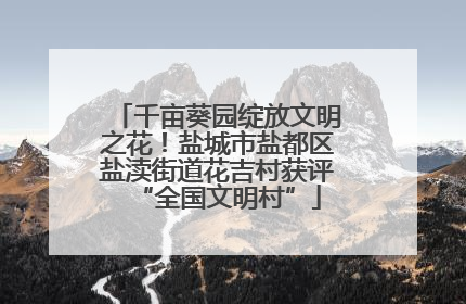 千亩葵园绽放文明之花！盐城市盐都区盐渎街道花吉村获评“全国文明村”