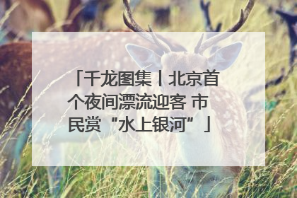 千龙图集丨北京首个夜间漂流迎客 市民赏“水上银河”