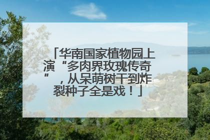 华南国家植物园上演“多肉界玫瑰传奇”，从呆萌树干到炸裂种子全是戏！