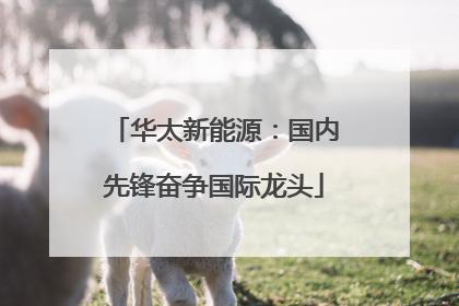 华太新能源：国内先锋奋争国际龙头