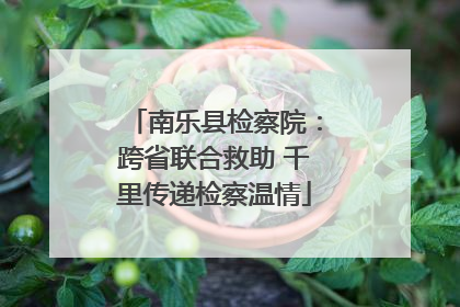 南乐县检察院：跨省联合救助 千里传递检察温情