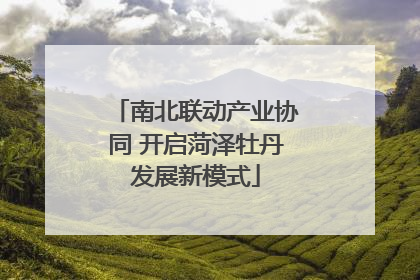 南北联动产业协同 开启菏泽牡丹发展新模式