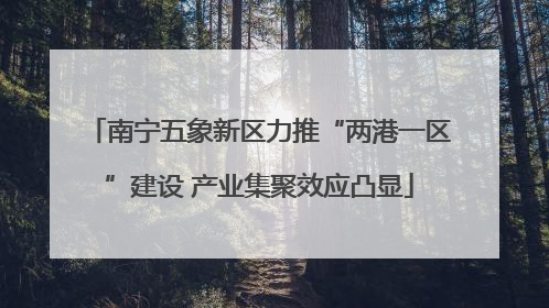 南宁五象新区力推“两港一区”建设 产业集聚效应凸显