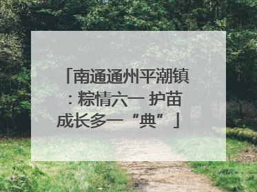 南通通州平潮镇：粽情六一 护苗成长多一“典”