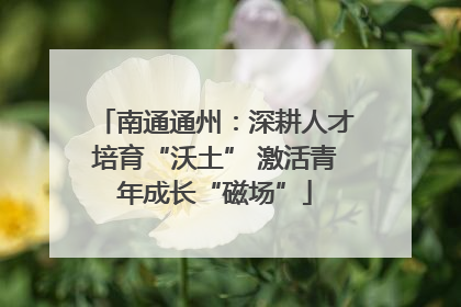南通通州：深耕人才培育“沃土” 激活青年成长“磁场”