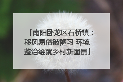 南阳卧龙区石桥镇：移风易俗破陋习 环境整治绘就乡村新图景