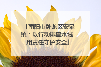 南阳市卧龙区安皋镇：以行动排查水域 用责任守护安全