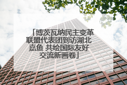 博茨瓦纳民主变革联盟代表团到访湖北嘉鱼 共绘国际友好交流新画卷