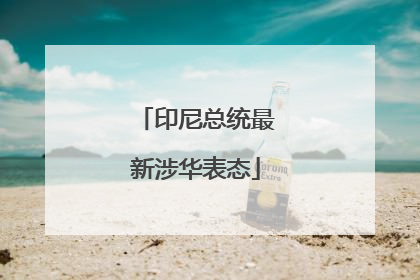 印尼总统最新涉华表态