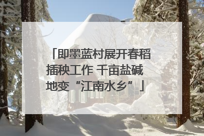 即墨蓝村展开春稻插秧工作 千亩盐碱地变“江南水乡”