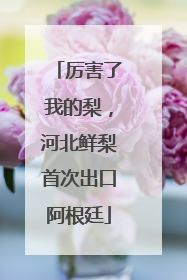厉害了我的梨，河北鲜梨首次出口阿根廷